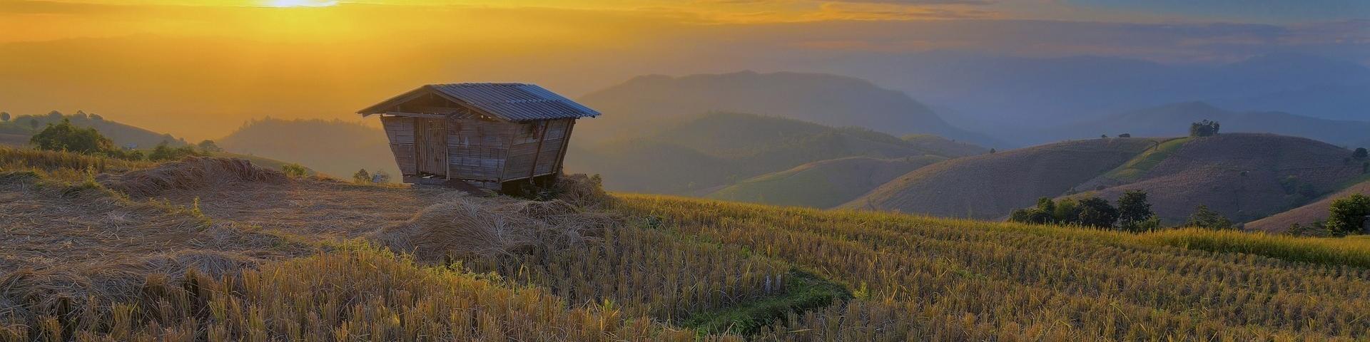 Bangkok, Chiang Mai i Koh Samui - wakacje w Tajlandii